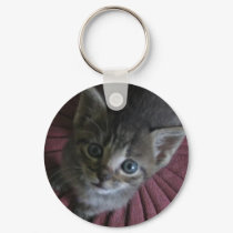 Gray Kitten Keychain