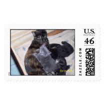 gray kitten on top of mom postage