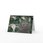 Gray kitty Christmas cards