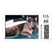 Gray kitty stamp by dollargrafix Gray kitty stamp