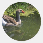 Gray Lag Round Sticker