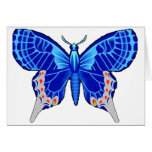 Gray Papillion Cards