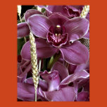 orchid, flower, petals, gray, grey, purple, spike,