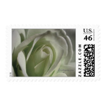 Gray Rose Wedding Postage Stamps