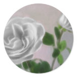 Gray Roses 1 Artwork Gray Roses 1 Artwork