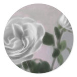Gray Roses 1 Less Color Artwork Gray Roses 1 Less Color Artwork