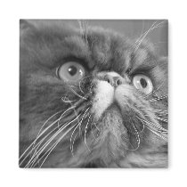 gray scale persian square magnet by KatAnnette gray scale persian square magnet