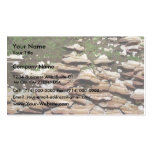 Gray Shelf Mushrooms growing on old log Business Cards