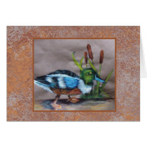 gray Shoveler Duck cards by klocke gray Shoveler Duck cards
