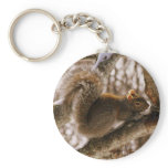 Gray Squirrel keychain