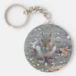 Gray Squirrel Series Keychains