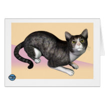 Gray Tabby cards