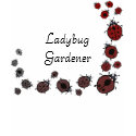 Gray-to-Red Ladybug Shirt by Customizables Gray-to-Red Ladybug Shirt