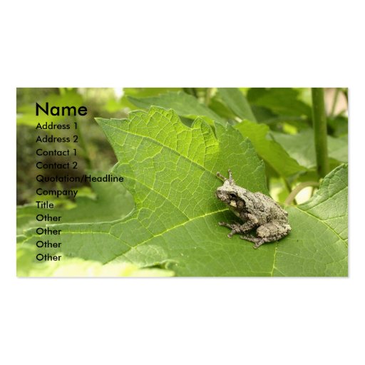 Gray Tree Frog Business Cards