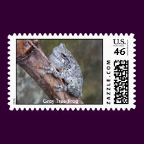 Gray Tree Frog Postage postage by naturegirl7 Gray Tree Frog Postage postage