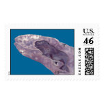 Gray Whale Mom and Baby Custom Postage postage