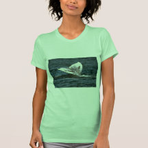 Gray whale t shirts