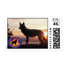 Gray Wolf at Sunset Postage