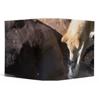 Gray Wolf Binder binder