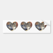 Gray Wolf Bumper Stickers