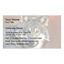 Gray wolf business cards