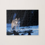 gray wolf, Canis lupus, in the foothills of the 3 Jigsaw Puzzle