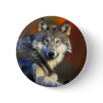 Gray Wolf, Endangered Species Digital Photography buttons by KahunaLuna Gray Wolf, Endangered Species Digital Photography buttons