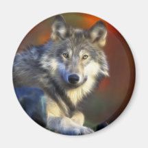 Gray Wolf, Endangered Species Digital Photography Refrigerator Magnets