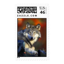Gray Wolf, Endangered Species Digital Photography Postage Stamps