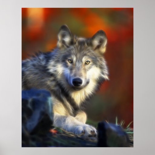 Gray Wolf, Endangered Species Digital Photography Poster | Zazzle