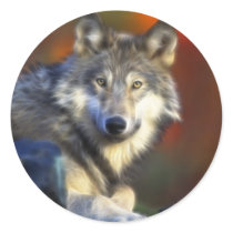 Gray Wolf, Endangered Species Digital Photography stickers by KahunaLuna Gray Wolf, Endangered Species Digital Photography stickers