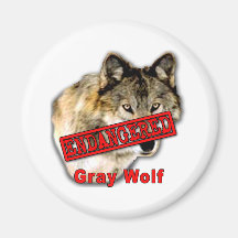 Gray Wolf Endangered Species Products Fridge Magnet