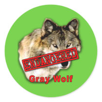 Gray Wolf Endangered Species Products stickers by EndangeredCreatures Gray Wolf Endangered Species Products stickers