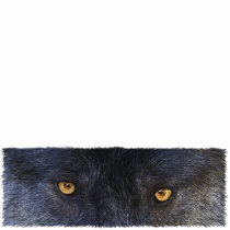 GRAY WOLF EYES (sculpted) Wildlife Gift Item Photo Cutout