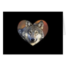 Gray Wolf Greeting Card