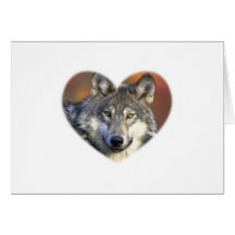 Gray Wolf Greeting Card