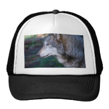 Gray wolf mesh hats