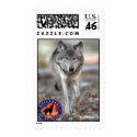 Gray Wolf postage
