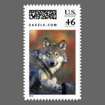Gray Wolf postage