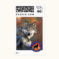 Gray Wolf stamps