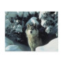 Gray Wolf Postcard