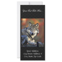 Gray wolf custom rack card