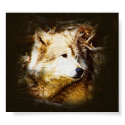 Gray Wolf Watching posters by mrsmas Gray Wolf Watching posters