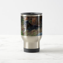 Gray Wolf Yawning. Zoo America, Hershey, Pennsylva Mugs