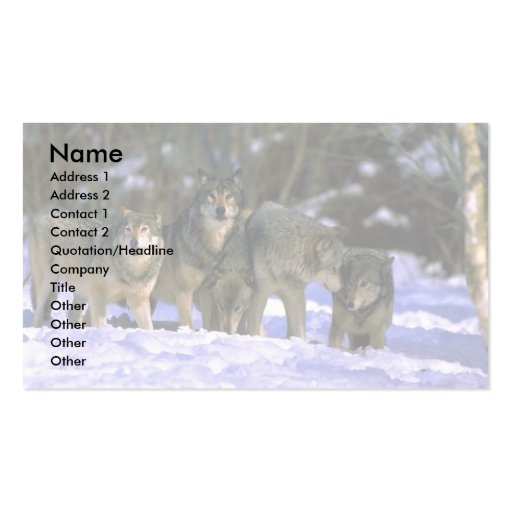 Gray Wolves-pack at edge of snowy forest Business Card Templates
