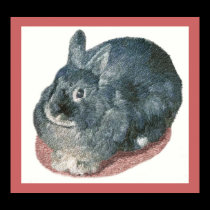 Gray Wooly Rabbit Prints and Posters