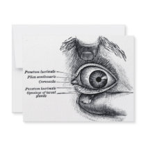 Gray's Anatomy — eyeball Custom Invite