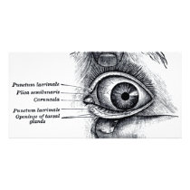 Gray's Anatomy — eyeball Photo Card