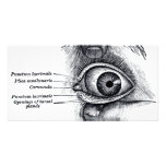 Gray's Anatomy — eyeball Photo Card