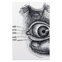 Gray's Anatomy — eyeball Stationery